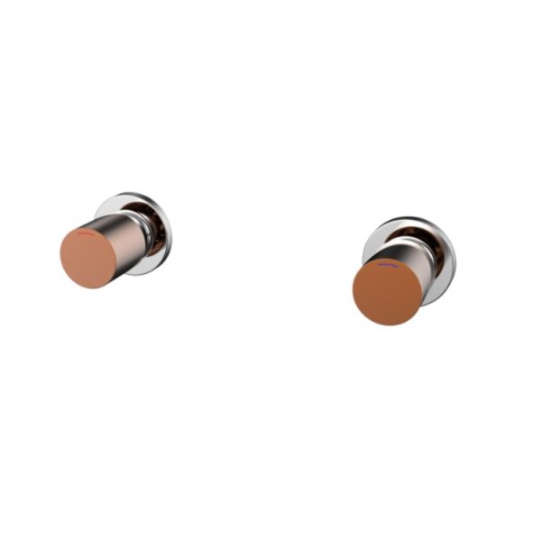 Finesa Wall Top Assemblies Chrome & Rose Gold BB
