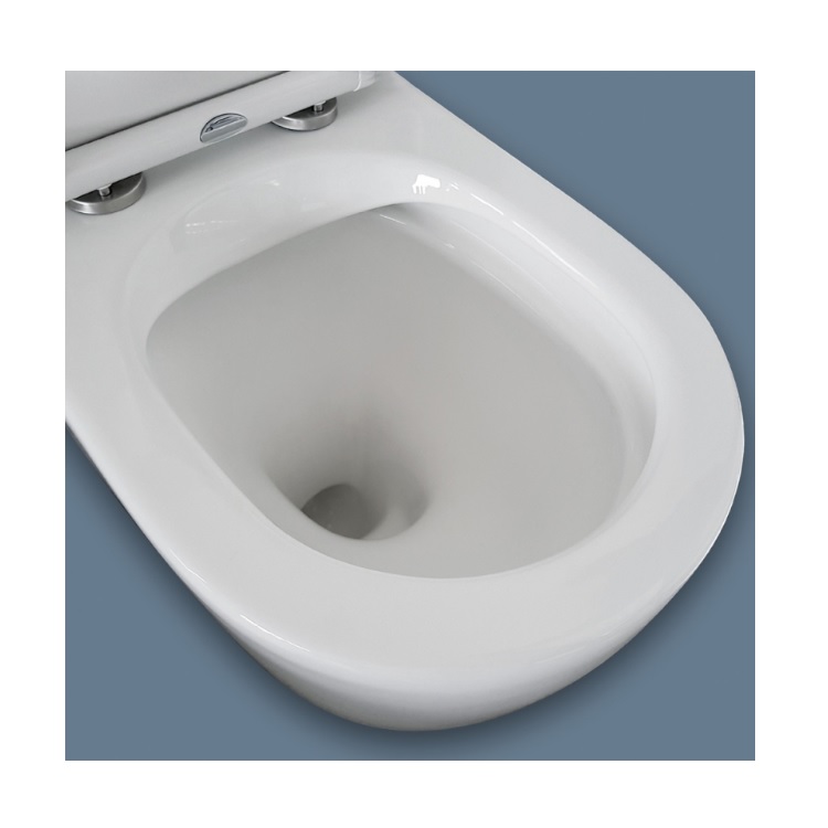 Fienza Isabella Rimless Back To Wall Toilet Suite With Slim Seat K014-2