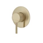 Fienza Axle Wall Mixer Large Round Plate Urban Brass