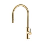 Fienza Kaya Pull Out Sink Mixer 228108UB
