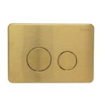 Fienza R&T PVD Urban Brass Round Button Flush Plate