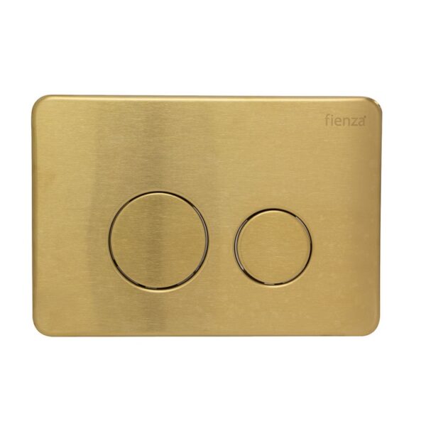 Fienza R&T PVD Urban Brass Round Button Flush Plate