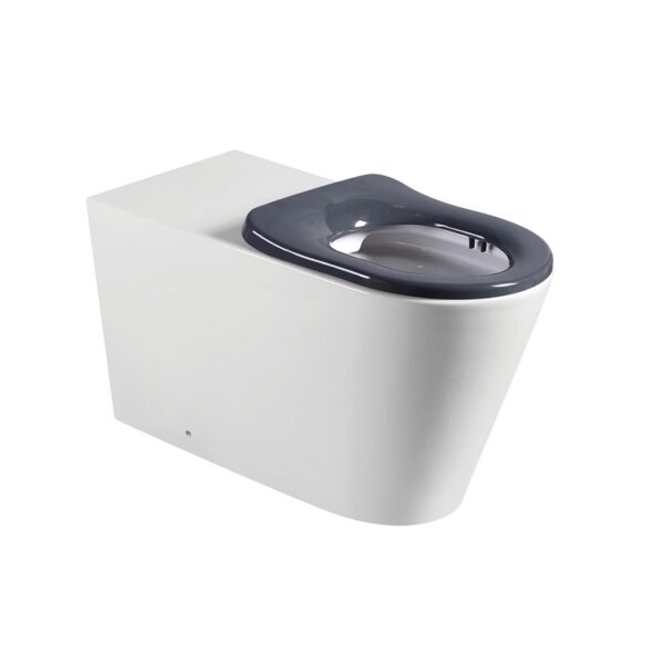 Fienza Isabella Care Back to Wall Toilet Suite Grey Seat