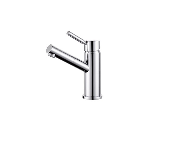 dolce-angled-basin-mixer-ch.jpg