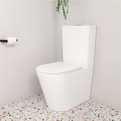 Fienza Aluca Rimless Back To Wall Toilet Suite With Slim Seat