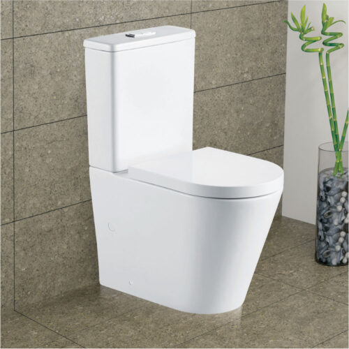 Fienza Aluca Rimless Back To Wall Toilet Suite
