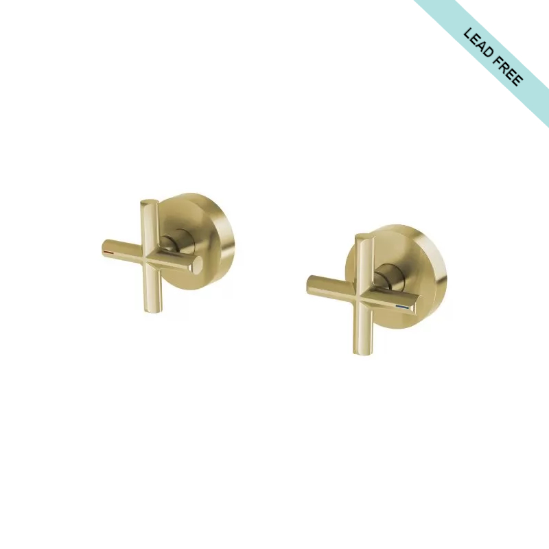 phoenix-vivid-slimline-plus-wall-top-assemblies_leadfree_119-0600-12-1_BrushedGold
