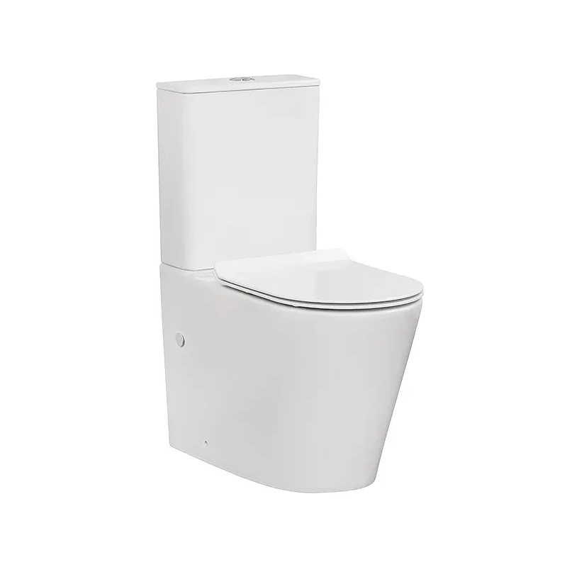 Decina Renee Ezi-Height Rimless Back To Wall Toilet Suite