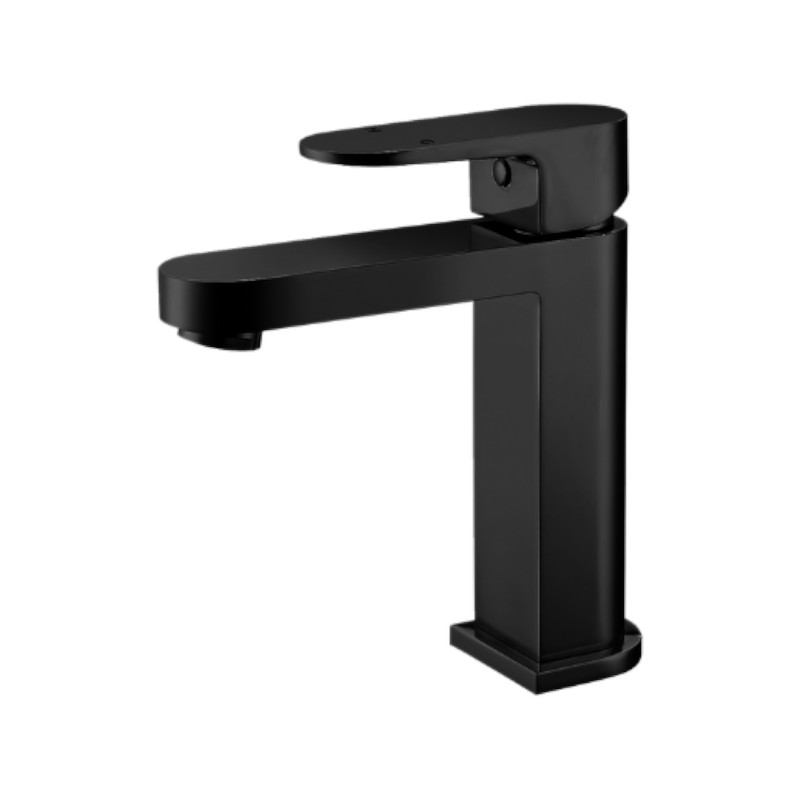Modern National Eva Mini Basin Mixer BK